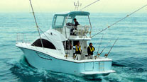 雅马哈Y360游艇 图片03 Yamaha Sport Boat